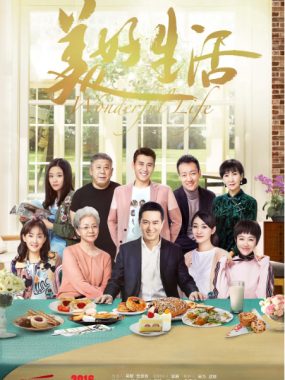 [夸克网盘][国剧]《美好生活》（2018）剧情 / 爱情