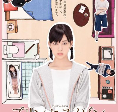 [夸克网盘][日剧]《公主小屋》（2016）剧情 豆瓣7.8