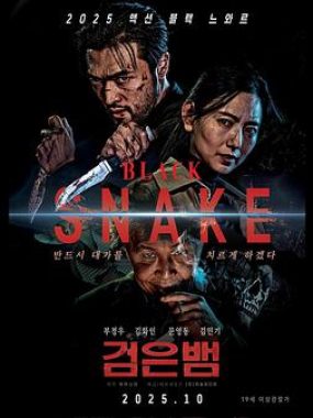 黑蛇 Black Snake 2025最新韩国犯罪动作片WEB-MKV/6.2G 1080P中文字幕