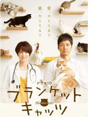 [夸克网盘][日剧]《毛毯猫》（2017）剧情 / 爱情 豆瓣8.1