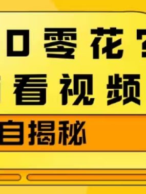 1天30零花？无脑看视频，大佬亲自揭秘